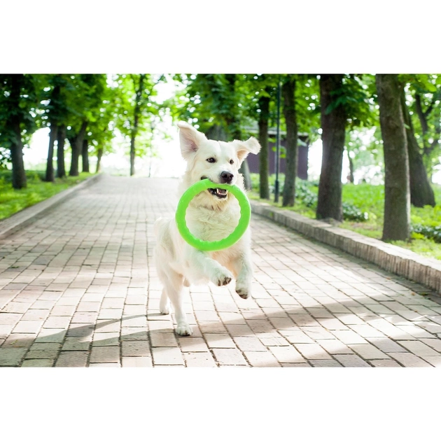 Іграшки Collar PitchDog Кільце для апортування, салатовий d: 28 см (z62385) - зображення 4