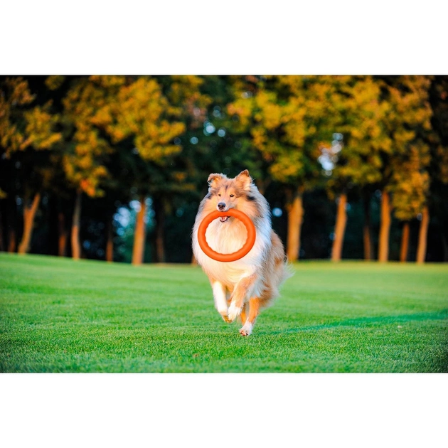 Игрушки Collar PitchDog Кольцо для апортировки, оранжевый d: 20 см (z62374) - изображение 4