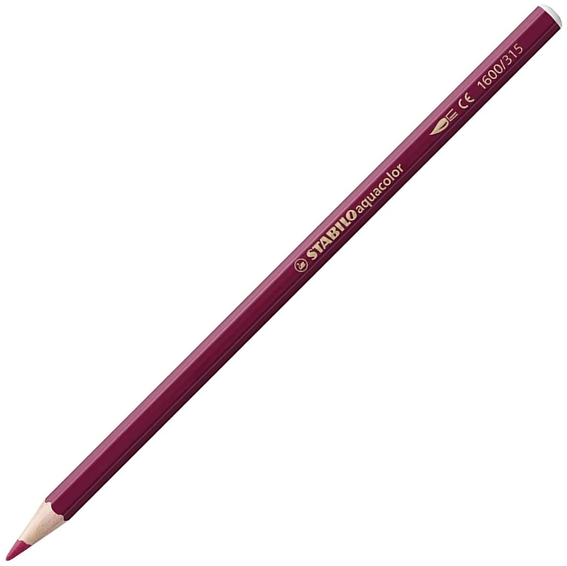Набір акварельних олівців Stabilo Aquacolour Arty 12 шт (4006381547185) - зображення 2