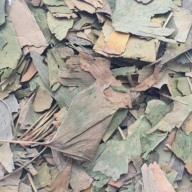 Гінкго білоба листя сушене 100 г - зображення 1