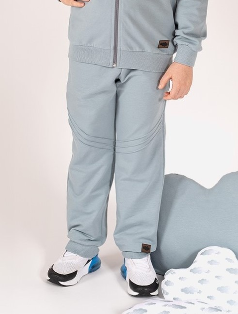 Дитячі спортивні штани для хлопчика Nicol 205275 134 см Сірі (5905601017042) - зображення 1