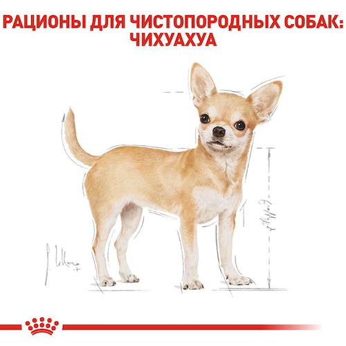 Сухой корм Royal Canin Chihuahua Adult для собак породы Чихуахуа 1.5 кг (арт 2210015) - изображение 4