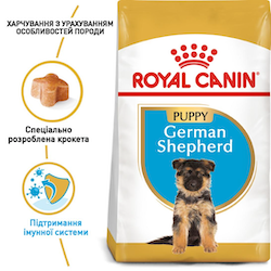 Сухий корм Royal Canin German Shepherd Puppy для цуценят породи Німецька вівчарка 12 кг (арт 25191201) - Фото 2 Сухий корм Royal Canin German Shepherd Puppy для цуценят породи Німецька вівчарка 12 кг (арт 25191201) - зображення 2