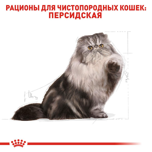 Сухий корм Royal Canin Persian Adult для дорослих котів породи Перська 2 кг (арт 2552020) - Фото 2 Сухий корм Royal Canin Persian Adult для дорослих котів породи Перська 2 кг (арт 2552020) - зображення 2