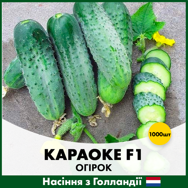 Голландские Семена Rijk Zwaan Огурец Караоке F1 1000 шт - Фото 1 Голландские Семена Rijk Zwaan Огурец Караоке F1 1000 шт - изображение 1