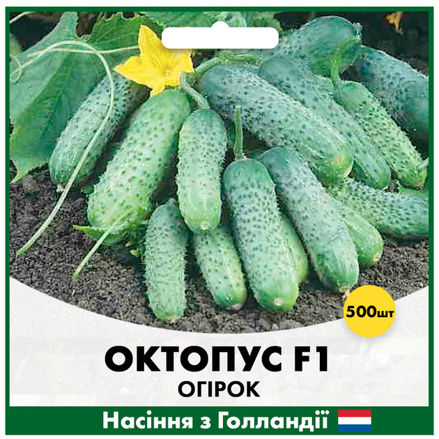 Голландське насіння Syngenta Огірок Октопус F1 500 шт - Фото 1 Голландське насіння Syngenta Огірок Октопус F1 500 шт - зображення 1