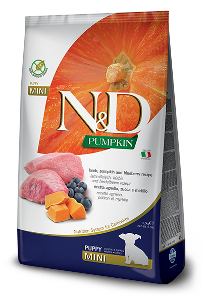 Беззерновой сухой корм для щенков N&D GRAIN FREE PUMPKIN DOG LAMB & BLUEBERRY PUPPY MINI мелких пород (тыква/ягненок/черника), 800 г - Фото 1 Беззерновой сухой корм для щенков N&D GRAIN FREE PUMPKIN DOG LAMB & BLUEBERRY PUPPY MINI мелких пород (тыква/ягненок/черника), 800 г - изображение 1