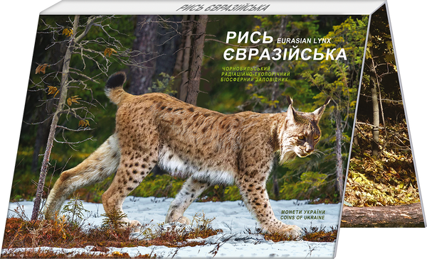 Монета Чорнобиль. Відродження. Рись євразійська (у сувенірній упаковці) 5 грн. - изображение 4