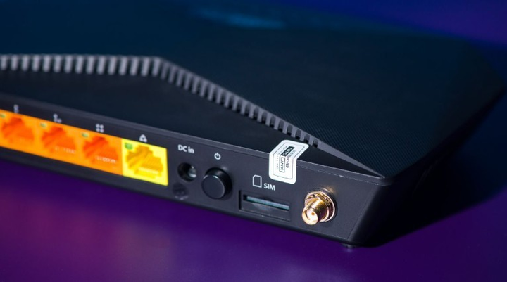 Router Totolink LR1200 (6952887401842) - obraz 6