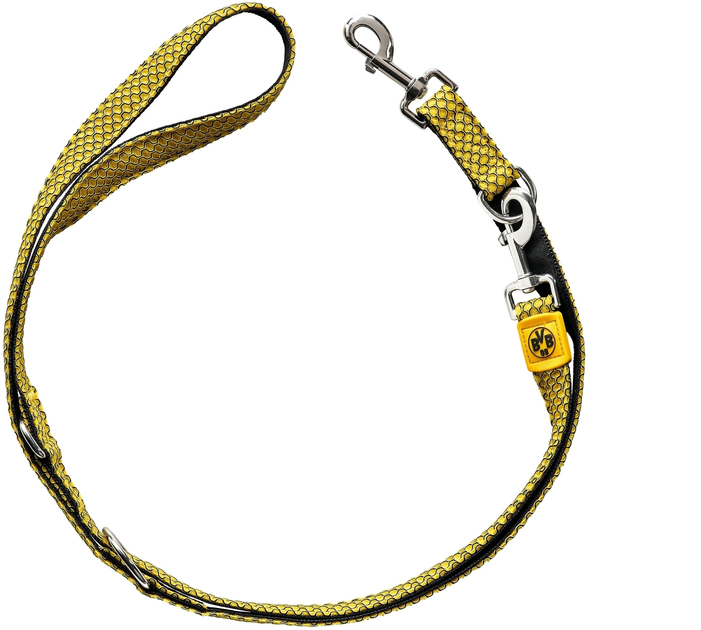 Smycz dla psów Hunter Dogleash Hilo BVB L 2 m Yellow (4016739685858) - obraz 1