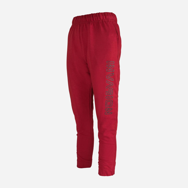 Дитячі спортивні штани для хлопчика Tup Tup PIK4050-2610 92 см Бордові (5901845292283) - зображення 1