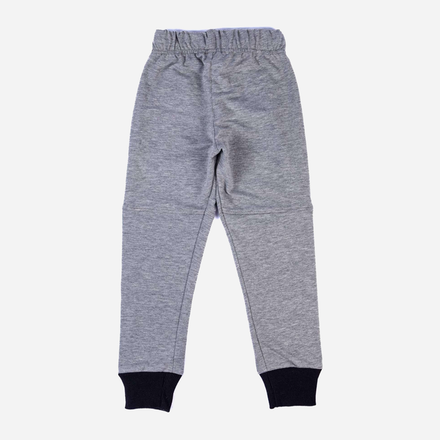 Дитячі спортивні штани для хлопчика Tup Tup PIK4071-8010 128 см Сірі (5907744052263) - зображення 2