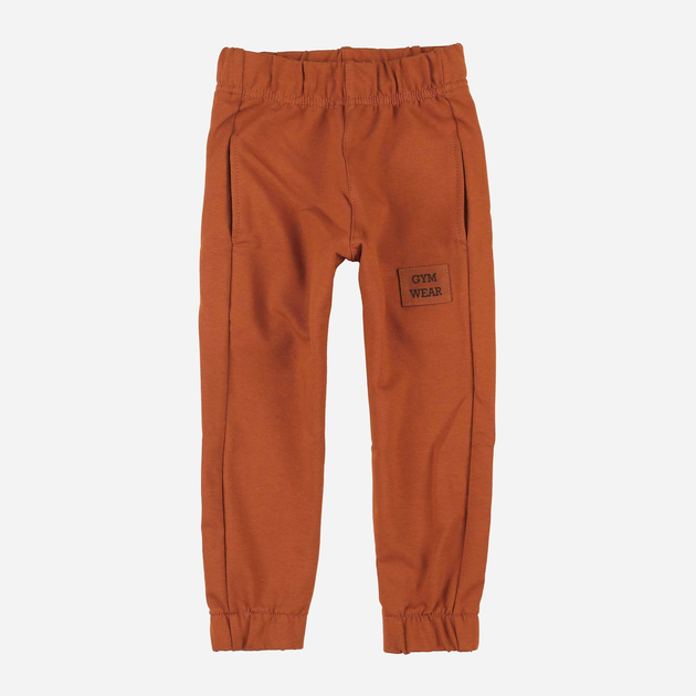 Дитячі спортивні штани для хлопчика Tup Tup PIK4060-4620 104 см Коричневі (5907744498436) - зображення 1