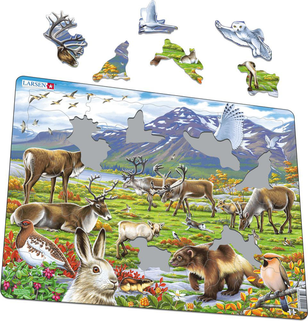 Puzzle Larsen Flora i fauna arktycznej tundry 50 elementów (7023852116104) - obraz 1