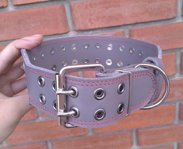 Нашийник для собаки шкіряний з шипами Lockdog, Д 52-62 см, Ш 6 см (ld093_XL) - зображення 5