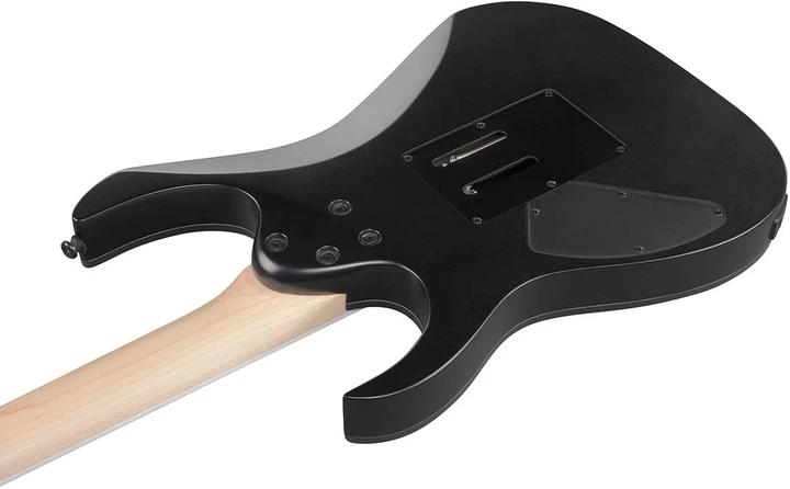 Электрогитара Ibanez RG420EX BKF - изображение 6