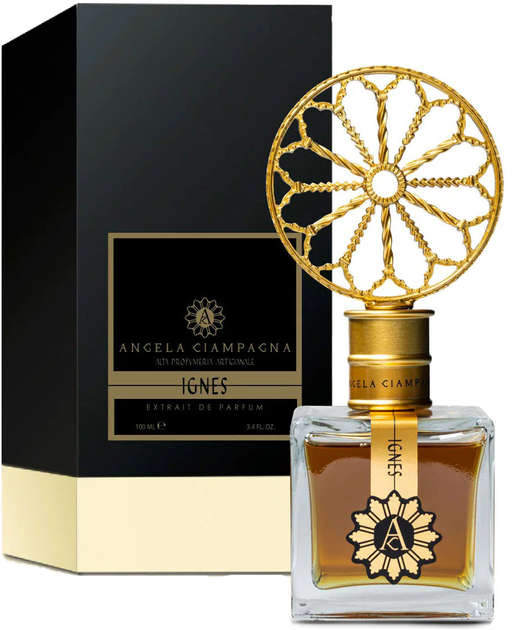 Perfumy unisex Angela Ciampagna Cineres Collection Ignes 100 ml (8437020930109) - obraz 1