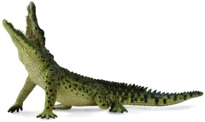 Figurka Collecta Krokodyl nilowy XL 19 cm (4892900887258) - obraz 1