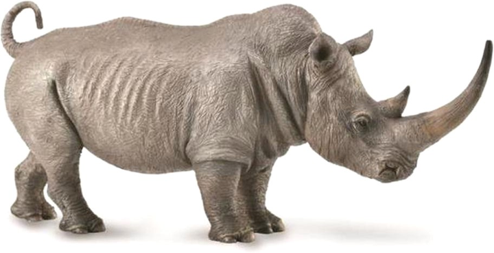 Figurka Collecta Rhinoceros White 15 cm (4892900888521) - obraz 1