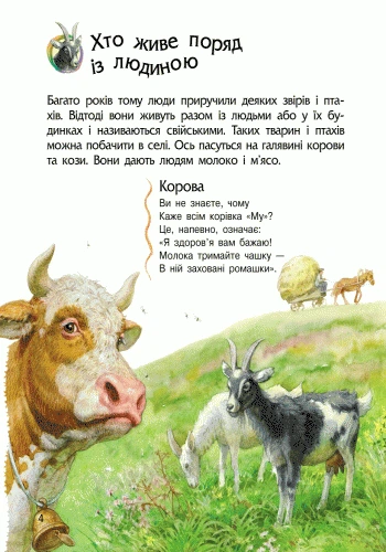 Животные. Энциклопедия дошкольника Каспарова Ю. (укр) - изображение 7