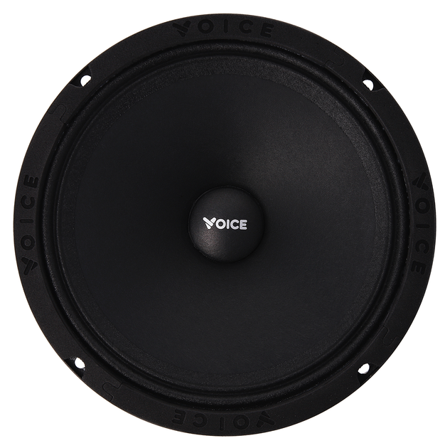 Эстрадная акустика Voice SP-60A (SP-60A) - изображение 2