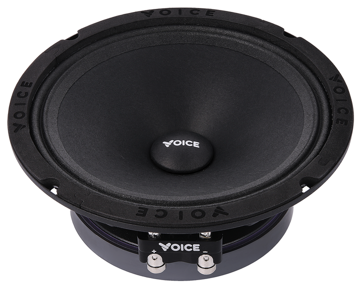 Эстрадная акустика Voice SP-60A (SP-60A) - изображение 3