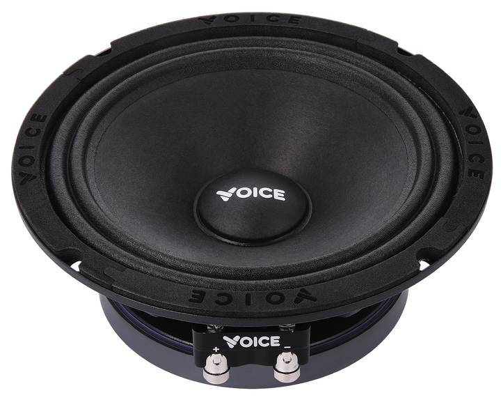 Эстрадная акустика Voice SP-65 SQL - изображение 3