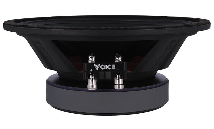 Эстрадная акустика Voice SP-80A (SP-80A) - изображение 5