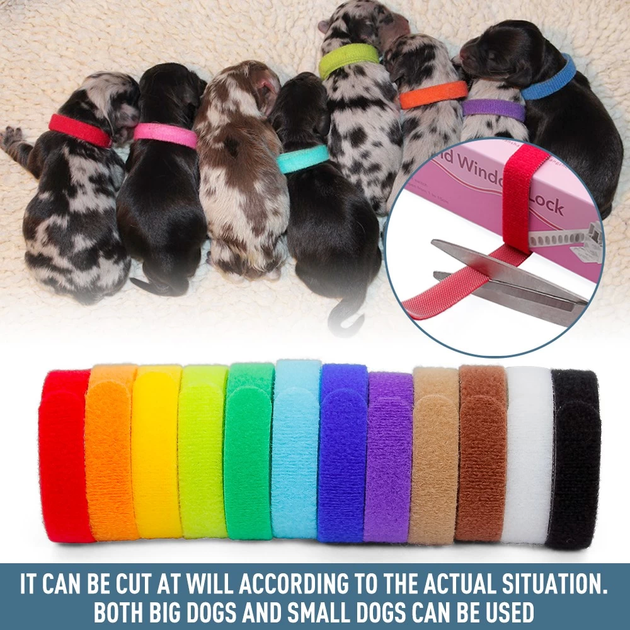 Комплект нашийників для цуценят та кошенят id Collars for Puppies, 12 шт. M - зображення 3
