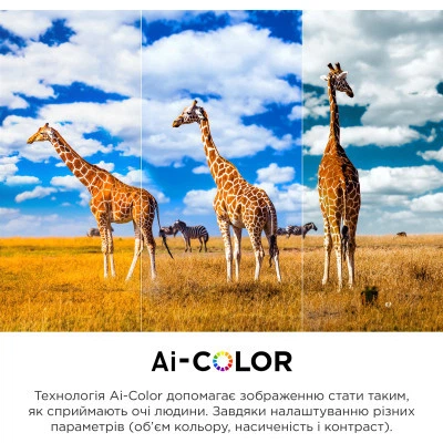 Телевизор TCL 65C845 - Фото 5 Телевизор TCL 65C845 - изображение 5