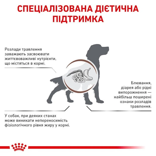 Сухой корм Royal Canin Gastrointestinal Low Fat Dog диетический для собак при расстройствах пищеварения 3кг - Фото 3 Сухой корм Royal Canin Gastrointestinal Low Fat Dog диетический для собак при расстройствах пищеварения 3кг - изображение 3