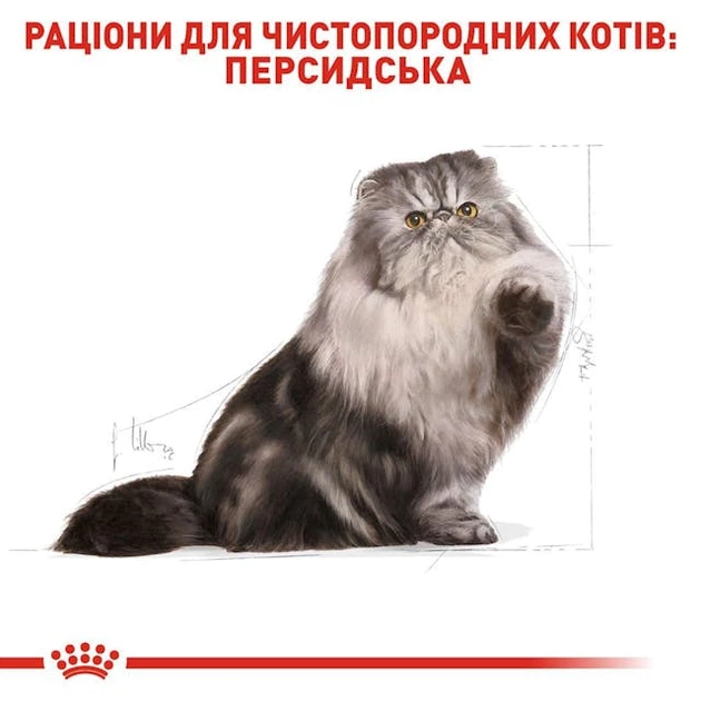 Сухой корм Royal Canin Adult Persian для взрослых кошек персидской породы 2кг - Фото 2 Сухой корм Royal Canin Adult Persian для взрослых кошек персидской породы 2кг - изображение 2