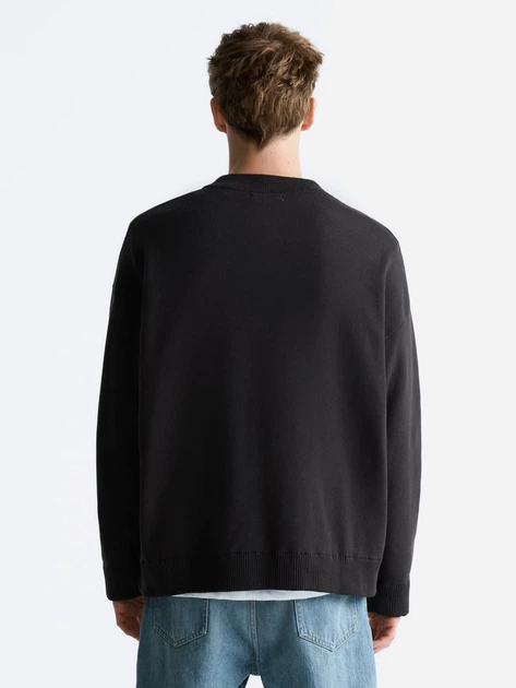 Свитер мужской Zara 470856310 L Коричневый (1159803109) - изображение 2