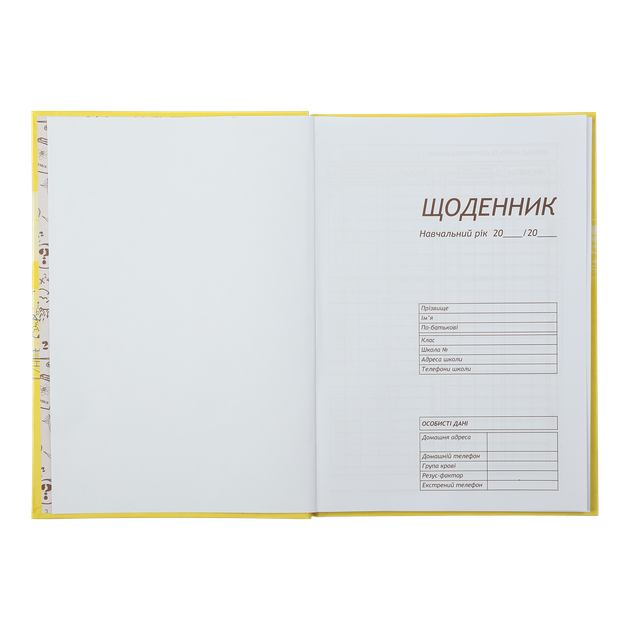 Щоденник шкільний SPACE CAT, В5, 40 арк., тверд. обл., мат. ламінація, KIDS Line - зображення 8