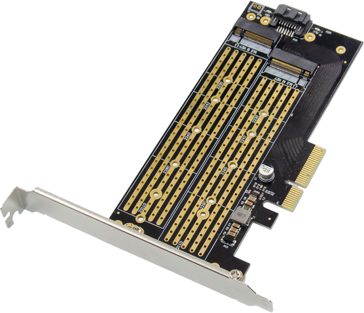 Мережева плата Digitus M.2 NGFF / NMVe SSD PCI Express 3.0 (x4) (DS-33172) - зображення 1