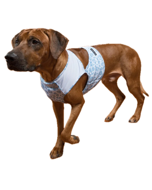Охлаждающий жилет для собак Paikka Cool Vest Snow Leo ( XS ) - изображение 2