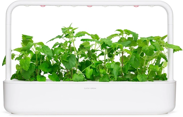 Wkład wymienny Click&Grow Kocimiętka 3 kapsułki (4742793007465) - obraz 5
