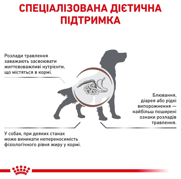 Сухий корм для собак Royal Canin Gastro Intestinal Low Fat 1.5 кг 39320151 - Фото 4 Сухий корм для собак Royal Canin Gastro Intestinal Low Fat 1.5 кг 39320151 - зображення 4