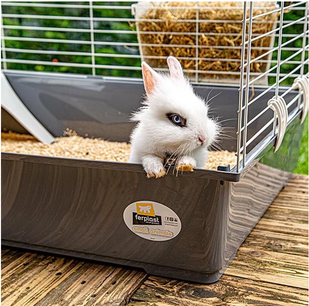 Клетка для кроликов и морских свинок Ferplast Rabbit 100 темно-серая 95х57х46 см 57052370 - изображение 10