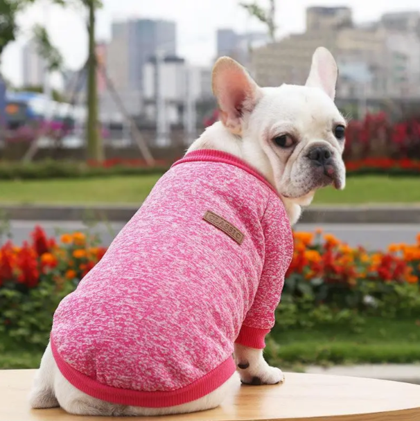 Кофта для собак та котів EcoToys Bright Pink XS ряба яскраво-рожева A: 20 см B: 31 см C: 19 см 7098 - Фото 6 Кофта для собак та котів EcoToys Bright Pink XS ряба яскраво-рожева A: 20 см B: 31 см C: 19 см 7098 - зображення 6