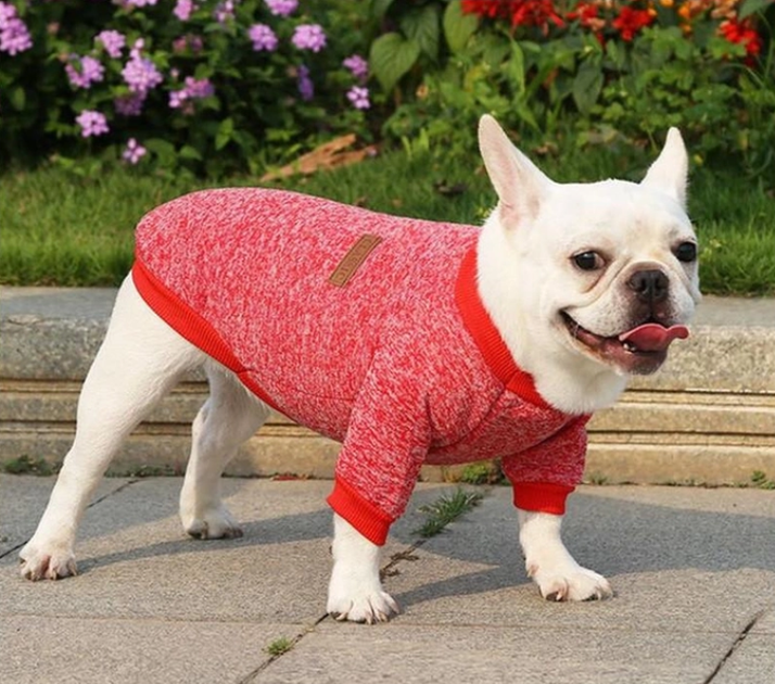 Кофта для собак и котов EcoToys Red S рябая красная A: 25 см B: 34 см C: 20 см 7105 - Фото 3 Кофта для собак и котов EcoToys Red S рябая красная A: 25 см B: 34 см C: 20 см 7105 - изображение 3