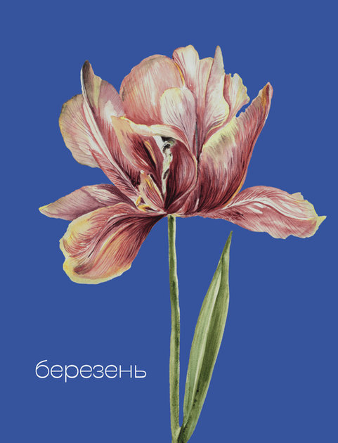 Квіти Перемоги. Мотиваційний планувальник - Мар'яна Савка, Мягкий, 232стр, Видавництво Старого Лева - Фото 9 Квіти Перемоги. Мотиваційний планувальник - Мар'яна Савка, Мягкий, 232стр, Видавництво Старого Лева - зображення 9