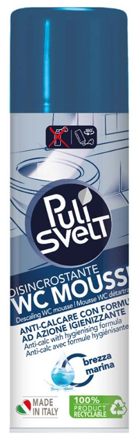 Пена-очиститель для унитаза Pulisvelt 500 мл (8007675737967) – купить ...
