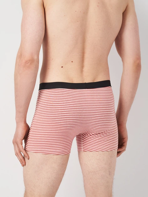 Трусы (3шт) Basic Collection M розово салатовый 14380928541 - изображение 3