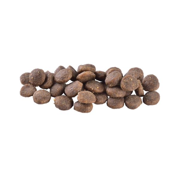 Корм сухий Brit Care Dog Grain-free Puppy для цуценят беззерновий з лососем 3 кг - изображение 2