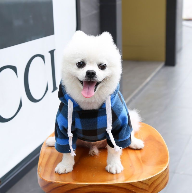 Худи для котов и кошек с карманом Pet Style "Сосиска" Черно-синяя клетка 5XL - Фото 7 Худи для котов и кошек с карманом Pet Style "Сосиска" Черно-синяя клетка 5XL - изображение 7