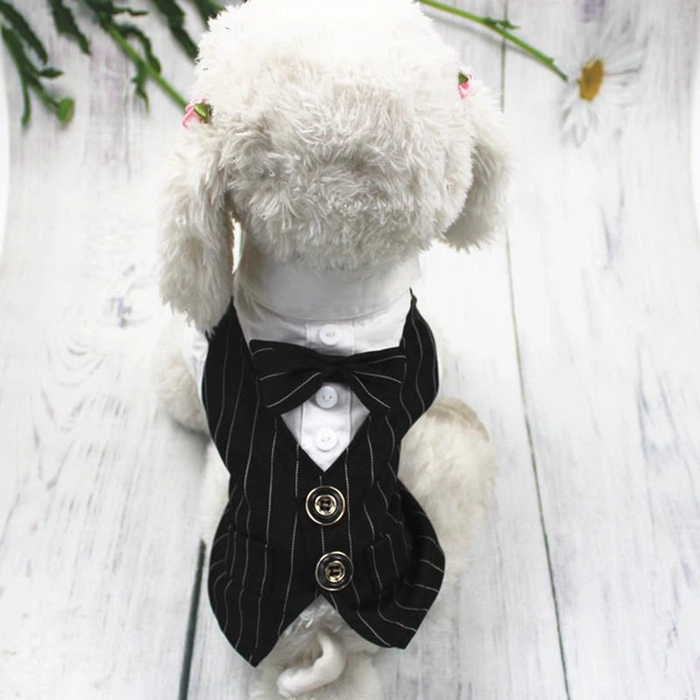 Костюм для собак Pet Style "Джентельмен" Чорно-білий XS - Фото 5 Костюм для собак Pet Style "Джентельмен" Чорно-білий XS - зображення 5