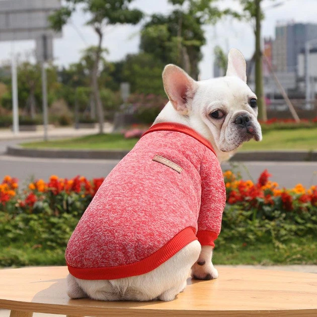 Джемпер для котів Pet Style "Classic" Червоний 2 XL - зображення 3