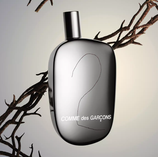 Comme des Garcons-2 Eau de Parfum Парфюмированная вода unisex, 50