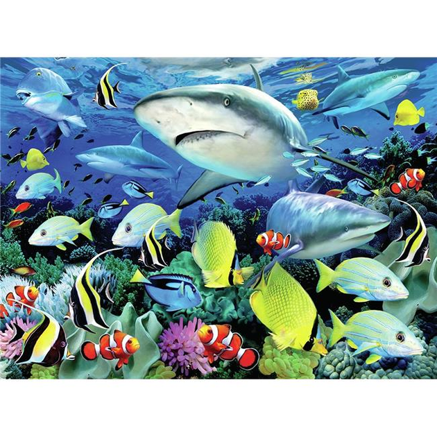 Malowanie po numerach Royal & Langnickel Reef Shark 40 x 30 cm (304105) (0090672373700) - obraz 1